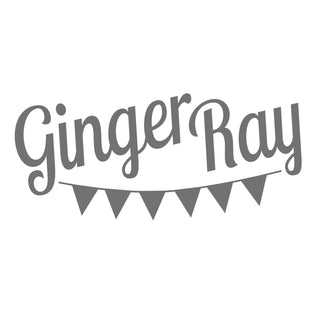 Ginger-Ray Build a Birthday NZ