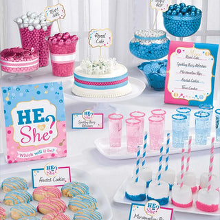 Other Gender Reveal Party Supplies