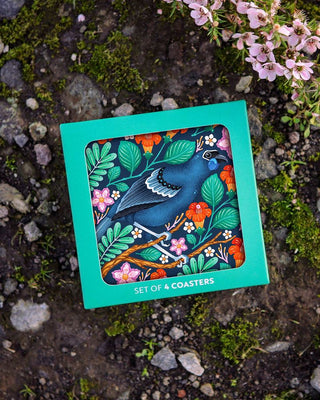 Catherine Marion Kōkako Boxed Coasters - 4 Pkt