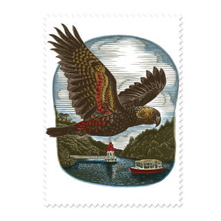 Wolfkamp & Stone | Kākā Lens Cloth | Kiwiana Gifts NZ