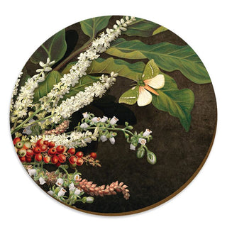 Wolfkamp & Stone | Nīkau Berries, Kohekohe & Tī Kōuka Placemat | Gifts NZ