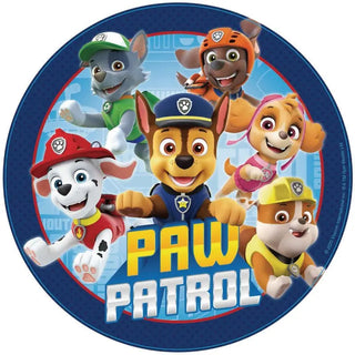 paw patrol pinata | paw patrol party