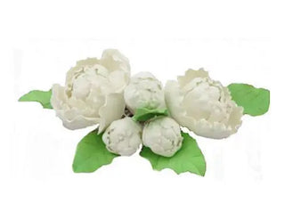 Unknown | White Gumpaste Peonies with Leaves - 5pkt | flower party supplies 