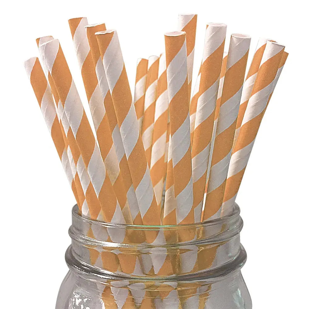 Peach Striped Paper Straws NZ Build a Birthday NZ