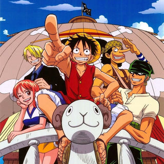 One Piece Party