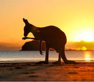Australia Party