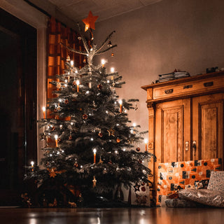 Christmas-Themes-Supplies Build a Birthday NZ