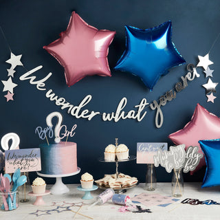 We Wonder What You Are Gender Reveal Party