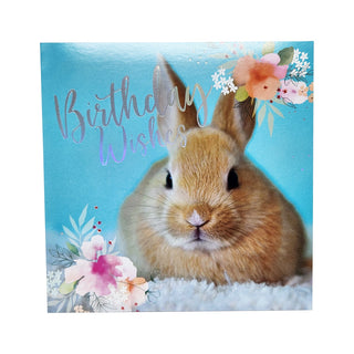 Unknown | Bunny Rabbit Happy Birthday Card | Bunny Rabbit Party Supplies NZ