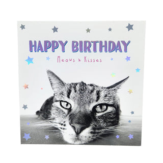 Unknown | Cat Meows & Kisses Happy Birthday Card | Cats Party Supplies NZ