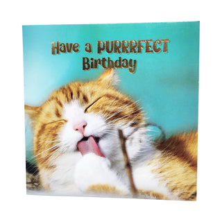 Unknown | Cat Purrfect Happy Birthday Card | Cat Kitten Party Supplies NZ