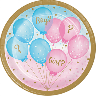 Gender Reveal Plates | Gender reveal party NZ