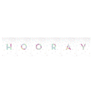 Iridescent DIY Pennant Banner