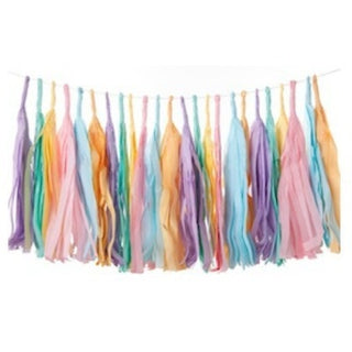 Pastel Tassel Garland | Rainbow Tassel Garland| Tassel Garland | NZ Party Supplies |