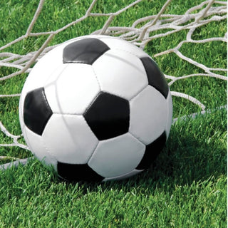 Soccer Fanatic Napkins | Soccer Party Supplies NZ