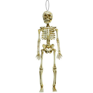 Skeleton Hanging Decoration | Halloween Decorations NZ