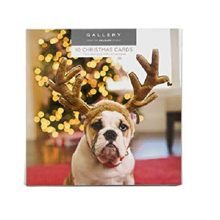 Christmas Cards NZ | Christmas Gift Card | Pets Christmas | Dog Themed Christmas Cards
