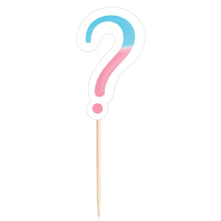 Gender Reveal Party Picks | Gender Reveal Party NZ