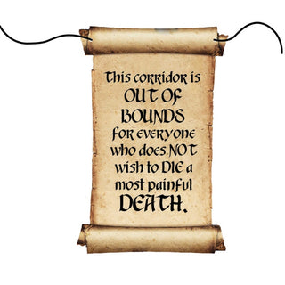 Harry Potter party decorations | Harry Potter Party NZ