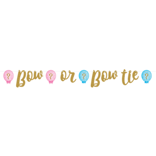 Gender Reveal Balloons Glitter Ribbon Banner | Gender Reveal Party NZ