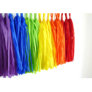 Rainbow Tassel Garland | Rainbow Garland | Rainbow Party | NZ Party Supplies | 