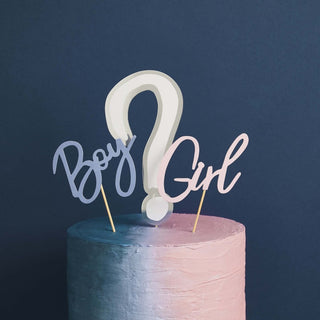 We Wonder What You Are Gender Reveal Cake Topper Set | Gender Reveal Party Supplies NZ