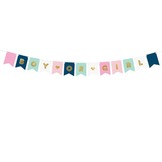 Gender Reveal Bunting | Gender Reveal Party Supplies NZ