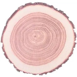 Disposable Paper Tree Trunk Placemat 10 Pack