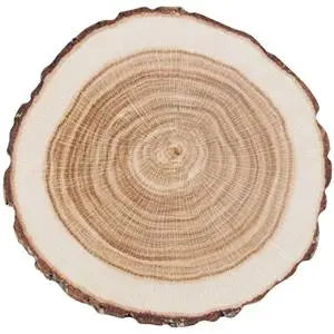 Disposable Paper Tree Trunk Coaster 10 Pack