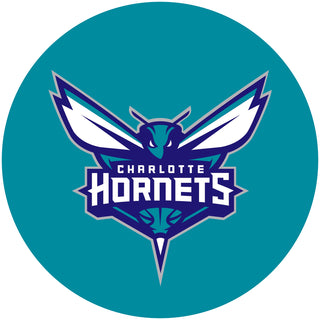 Charlotte Hornets Edible Icing Cake Image