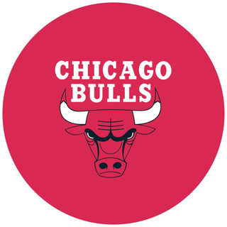 Chicago Bulls Edible Icing Cake Image