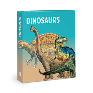 Pomegranate | Dinosaur Knowledge Cards | Dinosaur Party Supplies NZ