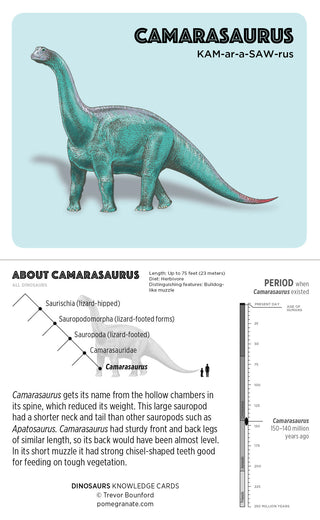 Pomegranate Dinosaur Knowledge Cards