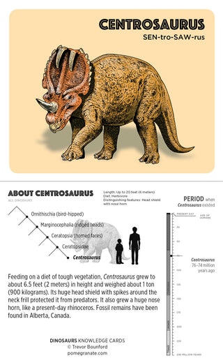 Pomegranate Dinosaur Knowledge Cards