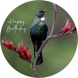 Tūī  Edible Icing Cake Image