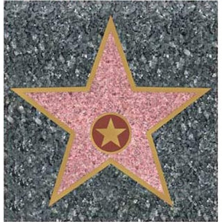 Hollywood Walk of Fame Star