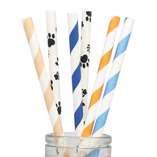 Bluey Paper Straws | Bluey Party Supplies NZ