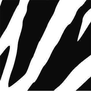 Zebra Print Napkins | Safari Animal Party Supplies NZ