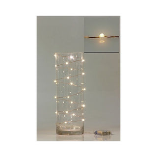 Warm White LED Seed Lights - 2m | Wedding Lights NZ