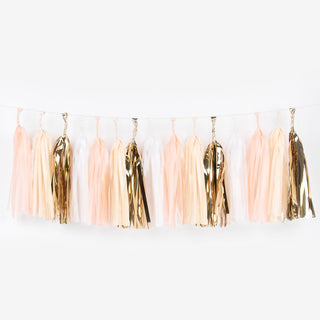 Powder Tassel Garland Kit