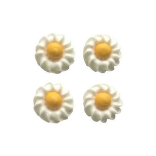 Edible Daisy Flower