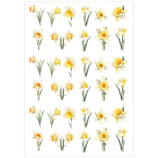 Watercolour Daffodils Edible Icing Icons | Daffodil Day Cake Decorations NZ