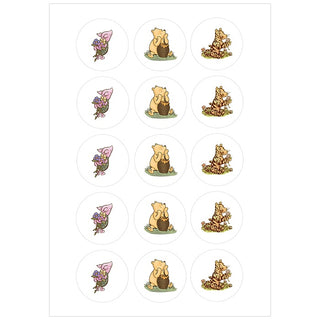 Vintage Winnie the Pooh Deluxe Edible Icing Cupcake Images | Winnie the Pooh Party Supplies NZ