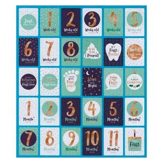 Baby Milestone Cards | Baby Shower Party Theme & Supplies | Artwrap