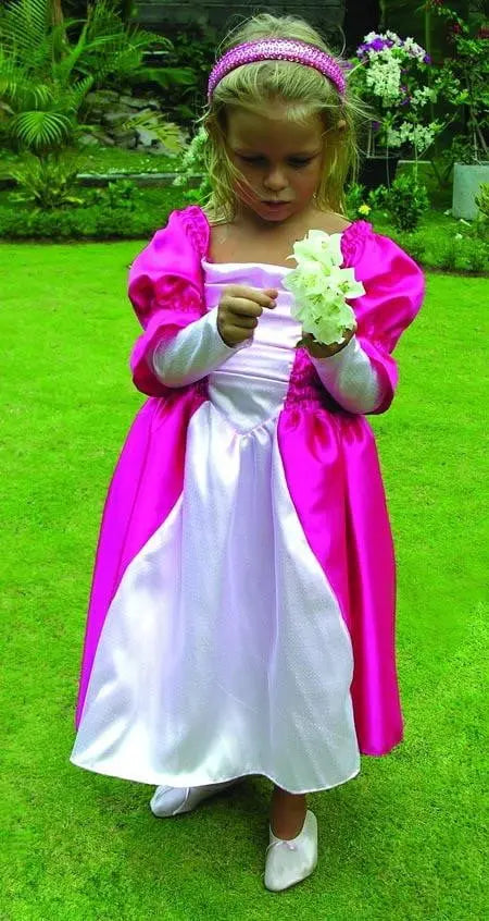 Princess Costume Princess Party Theme and Supplies Build a