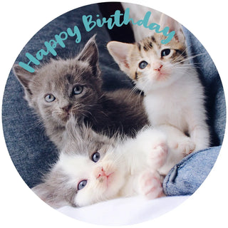 Kitten Edible Cake Image | Cat Cake Decorations