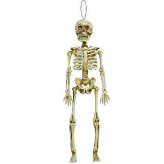 Skeleton Decoration | Halloween Decorations NZ