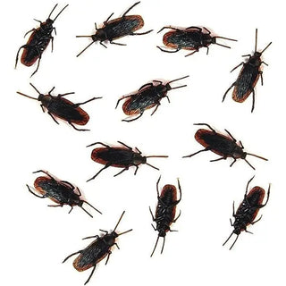 Plastic Cockroaches | Halloween Party Supplies NZ