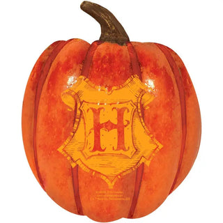 Harry Potter Halloween Pumpkin Decoration | Harry Potter Party Supplies NZ