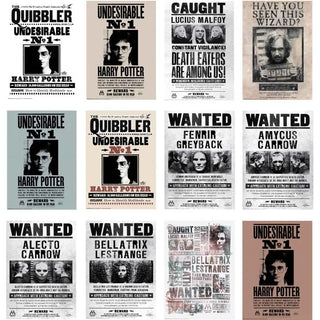 Harry Potter Wanted Posters | Harry Potter Party Supplies NZ